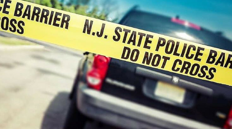 More than 40 dead cats and dogs found in truck in NJ mall: police