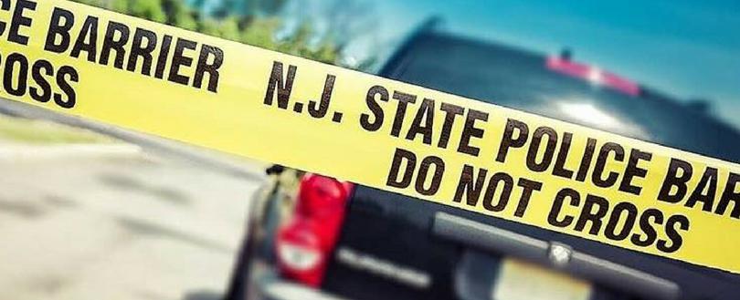 More than 40 dead cats and dogs found in truck in NJ mall: police