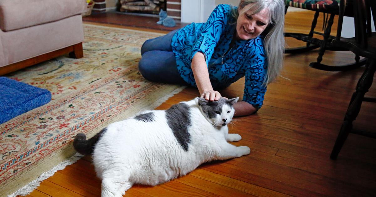 Richmonder adopts 40-pound cat and social media sensation