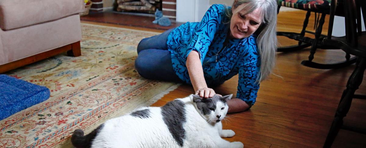 Richmonder adopts 40-pound cat and social media sensation