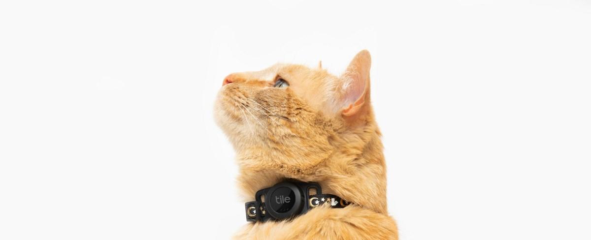Tile launches a new cat tracking tag with three-year battery life
