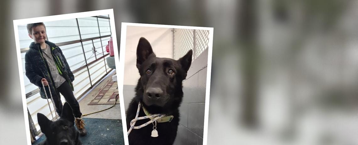 Boy, 7, catches, adopts dog loose in Michigan town for months