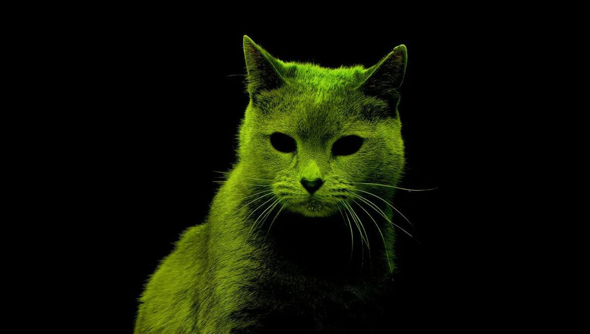 Ray Cats: Can Color-Changing Kitties Protect Future Generations From Radioactive Waste?