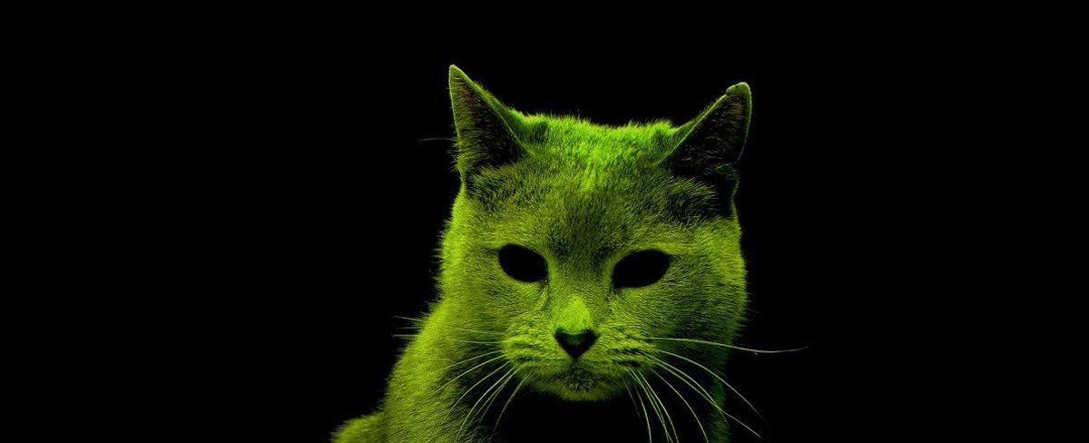 Ray Cats: Can Color-Changing Kitties Protect Future Generations From Radioactive Waste?