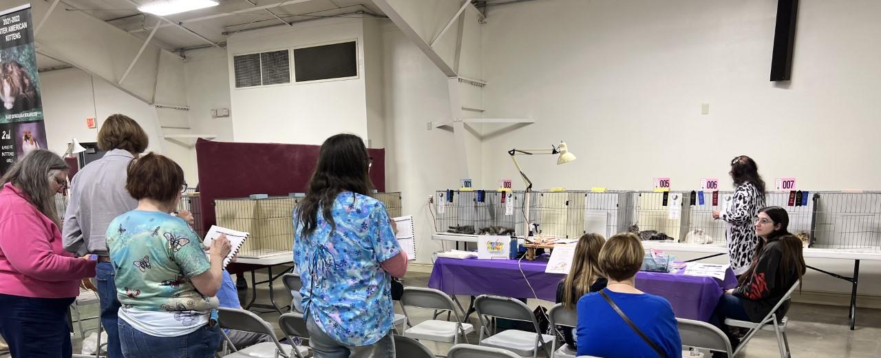 Hoosier Hissers Cat Show: A ‘Purrfect’ Experience