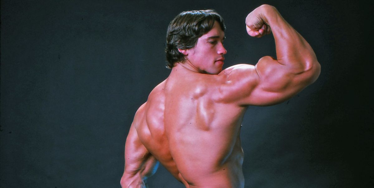 Arnold Schwarzenegger Used 'Myo Reps' to Supersize His Upper Body