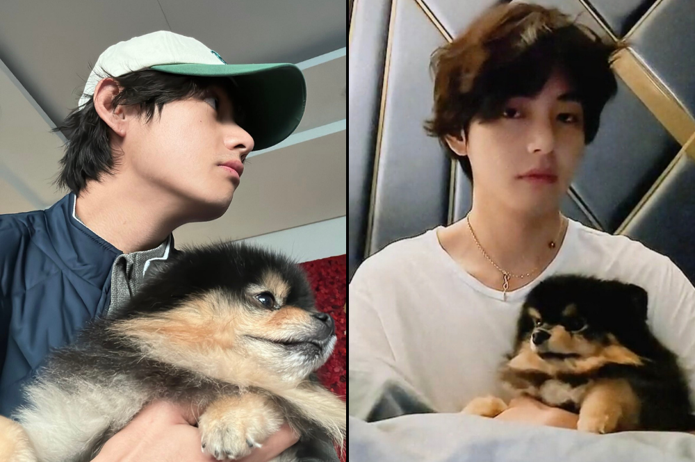 Cutest Duo: BTS's V (Kim Taehyung) Shares New Updates With His Adorable Pet Dog Yeontan