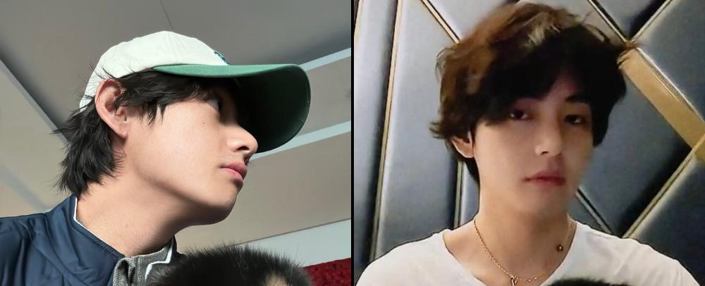 Cutest Duo: BTS's V (Kim Taehyung) Shares New Updates With His Adorable Pet Dog Yeontan