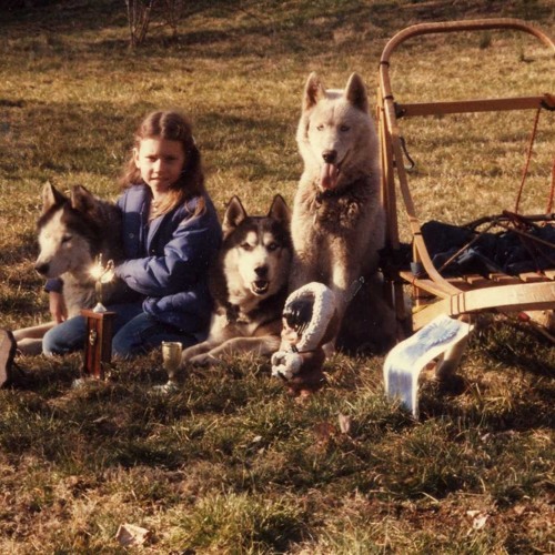 Balto and me: A love of dogs inspires a life in science