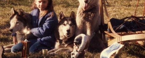 Balto and me: A love of dogs inspires a life in science