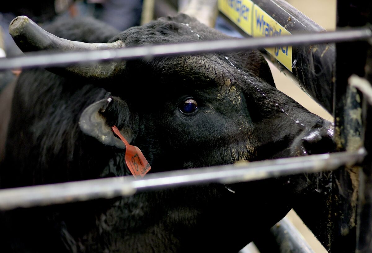 Personal Finance: All Is Not Well Under the Stock Market's Hood