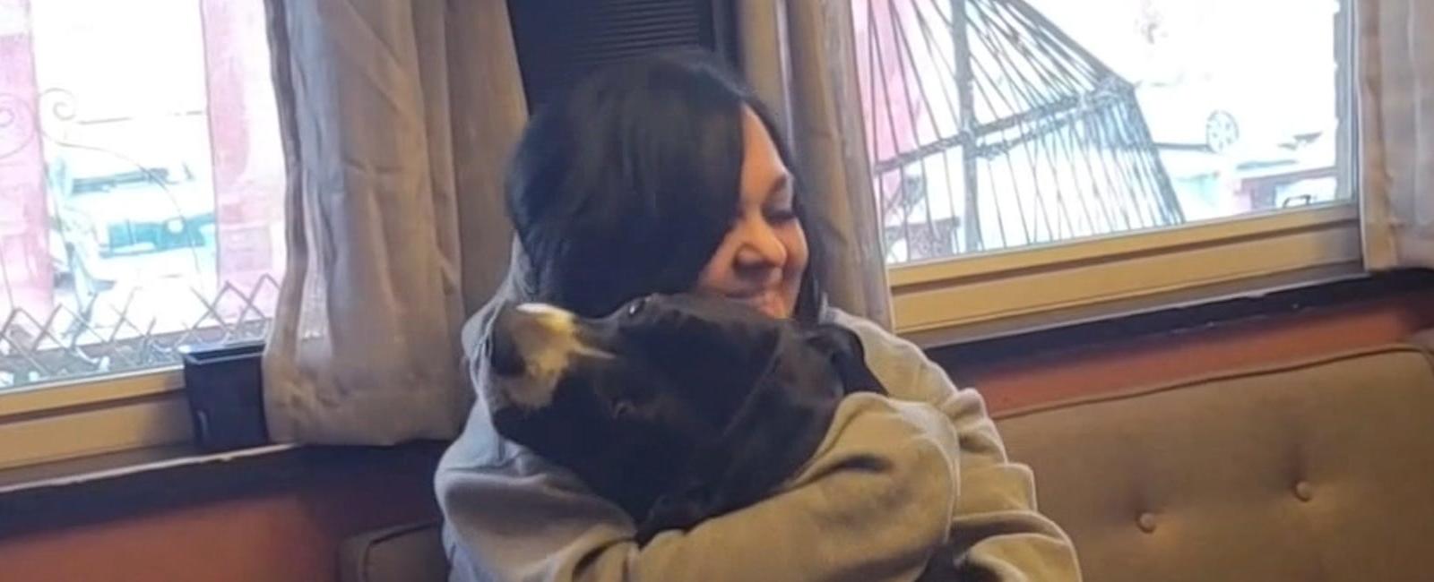 National Pet Day: Excited dog hugs owner, reunited after months apart
