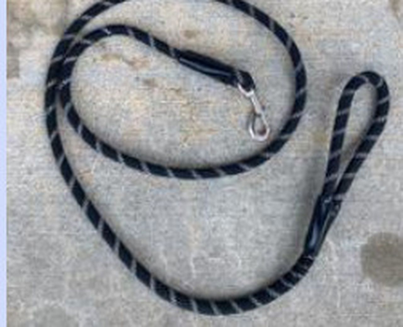 Dozens of dogs could be euthanized as canine flu hits Pa. shelter