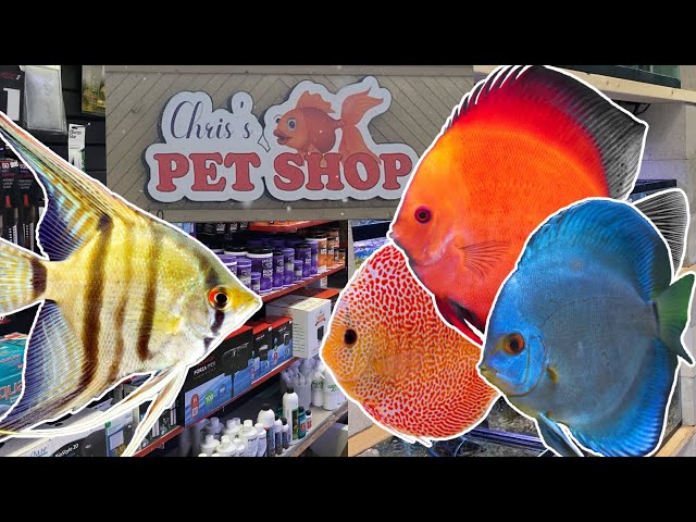 Chris's Pet Shop! An Awesome Shop in Small Package!