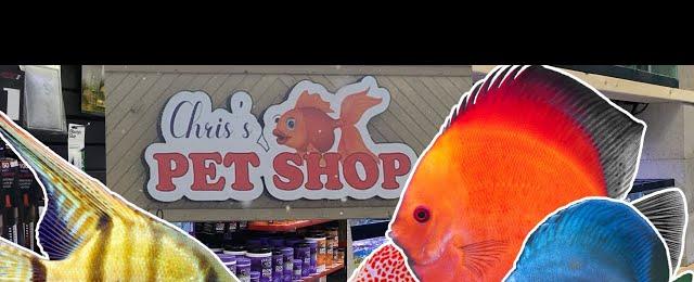 Chris's Pet Shop! An Awesome Shop in Small Package!