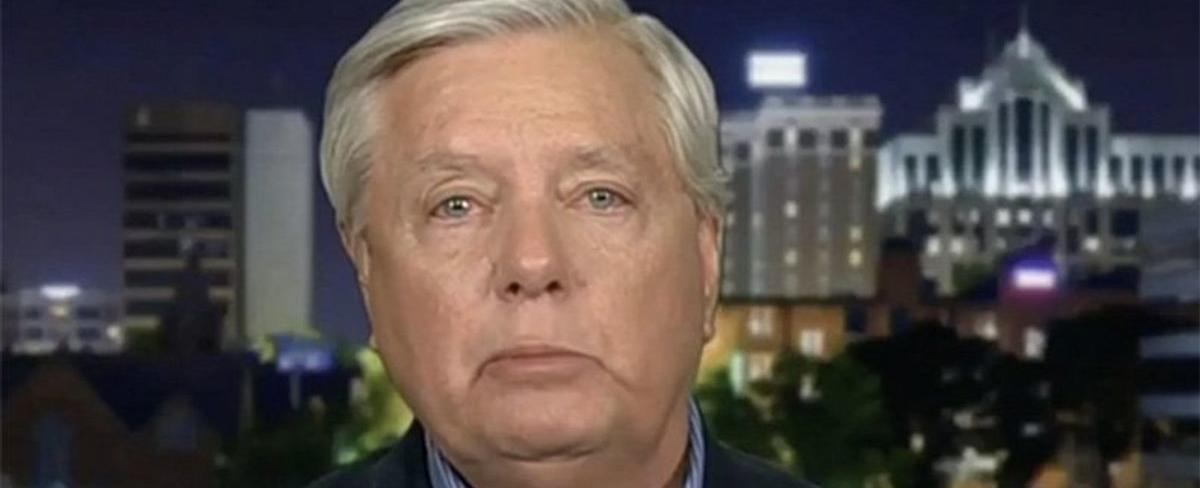 Rick Wilson nails Lindsey Graham for his 'sad-eyed puppy' Trump routine