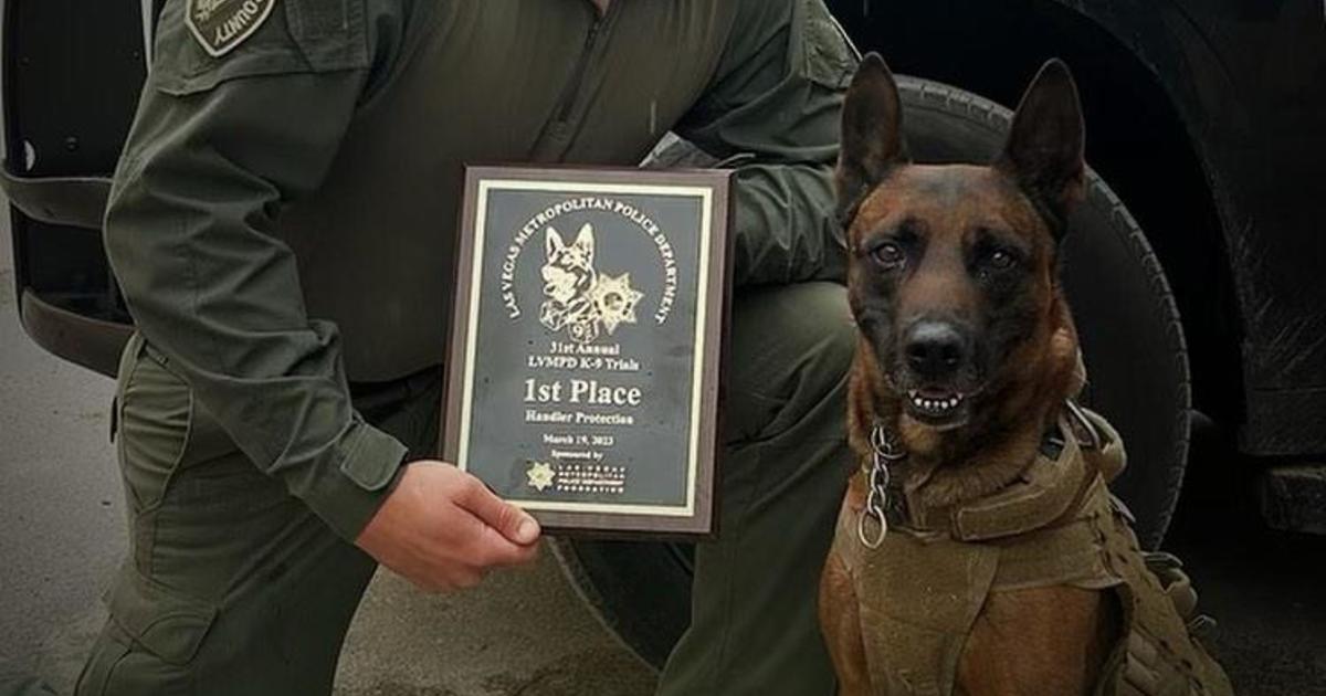Police dog killed during search for suspect in Perris
