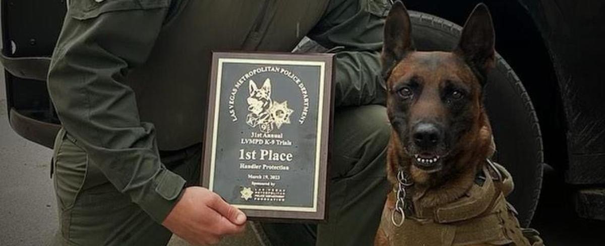 Police dog killed during search for suspect in Perris