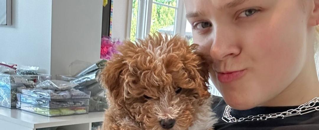 JoJo Siwa Mourns Death of Her Puppy After He Suffers Fatal Accident - E! Online