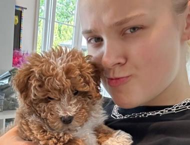 JoJo Siwa Mourns Death of Her Puppy After He Suffers Fatal Accident - E! Online