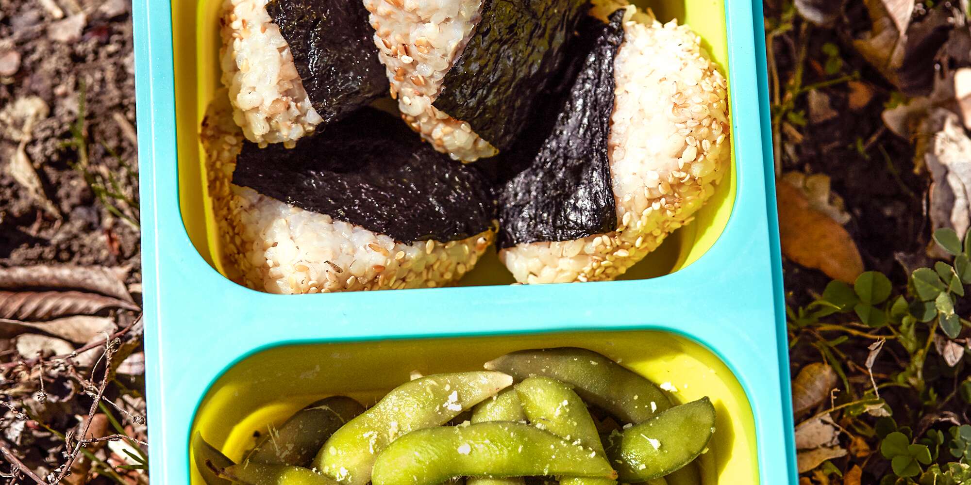 10+ High-Protein Snack Recipes for Weight Loss