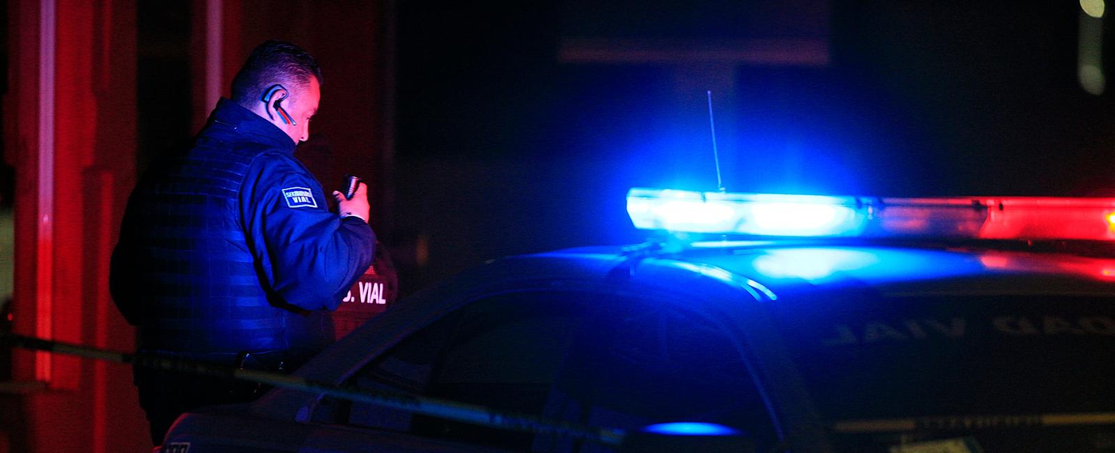 Juárez police find 118 dead dogs in truck