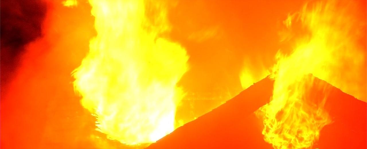 Homeowner, 3 cats die in Dayton fire