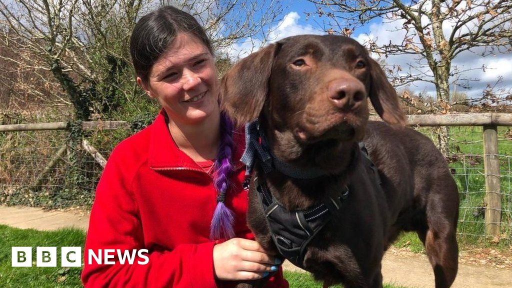 Dog 'addicted to alcohol' a first for Devon animal trust