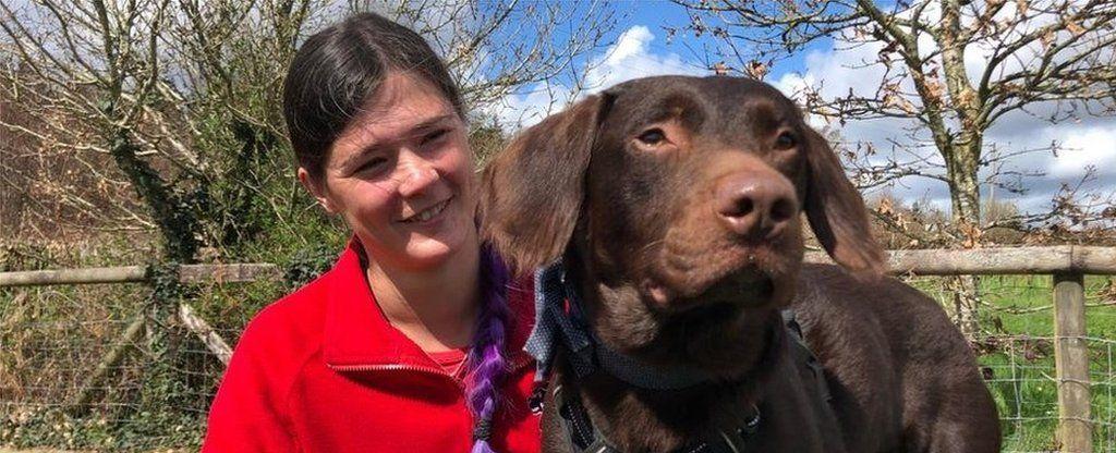 Dog 'addicted to alcohol' a first for Devon animal trust