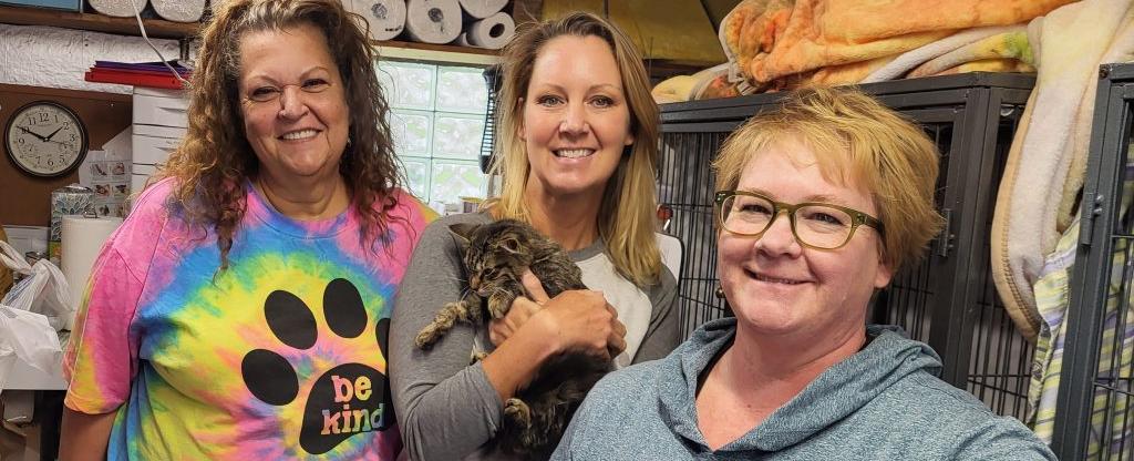 Crazy cat ladies of Warren help feral felines