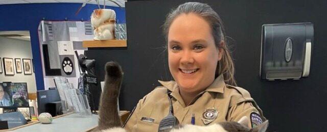 PHOTO — 40-Pound Cat Gets Adopted in Virginia: 'Real Live Pillow Pet'