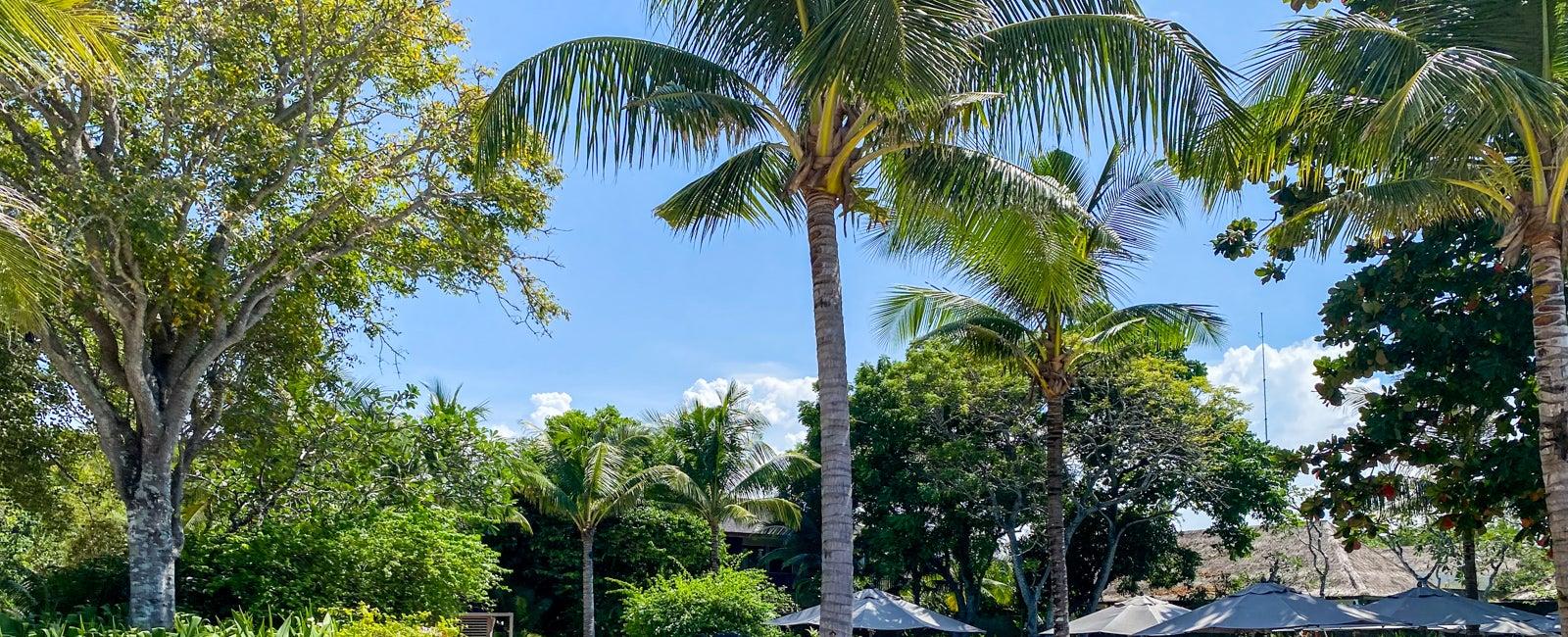 Quick Points: World of Hyatt members don't pay any fees or taxes on award stays - The Points Guy