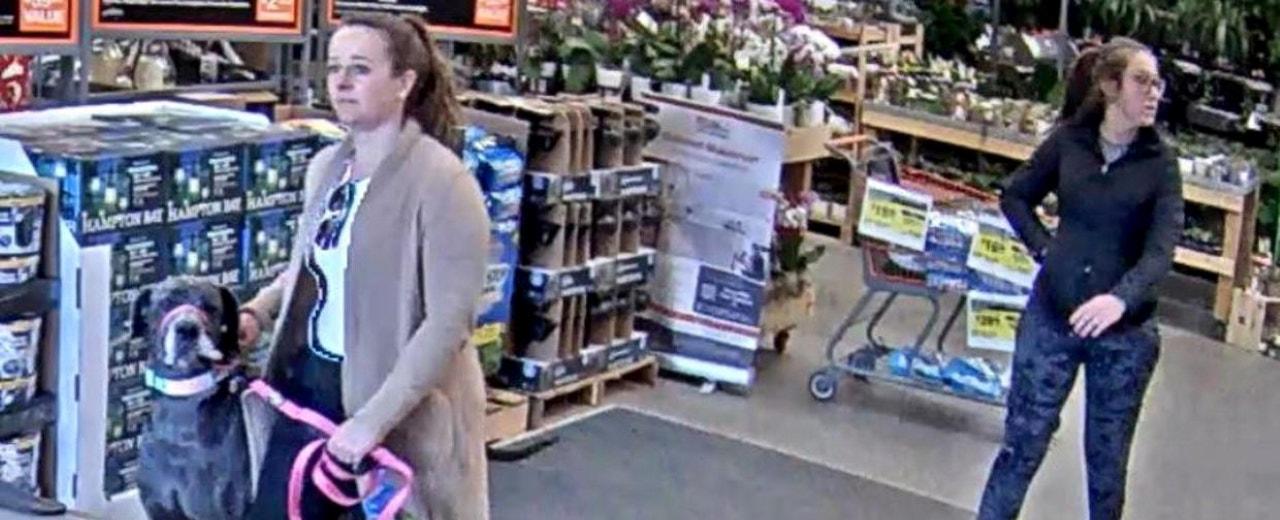 Colorado Home Depot customer attacked by dog, owner flees store
