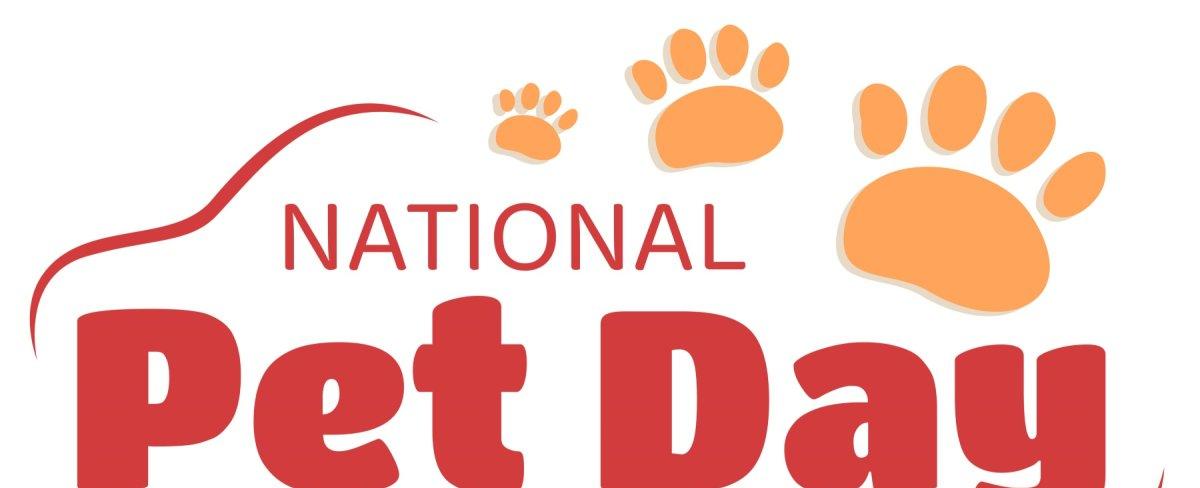 It’s National Pet Day, and We’re Paying Tender Tribute to the Animals We Adore