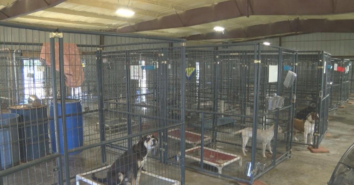 Marshall County animal shelter thrilled with number of dogs adopted, avoiding euthanasia