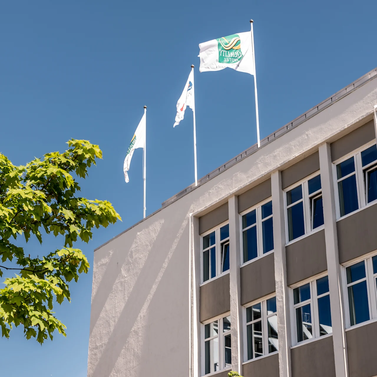 Valkoinen rakennus, jossa on useita ikkunoita, ja liput liehuvat sen päällä kirkkaan sinisen taivaan alla. Lähellä on vihreälehtinen puu. Lipussa näkyvä teksti: "QUALITY HOTEL".
