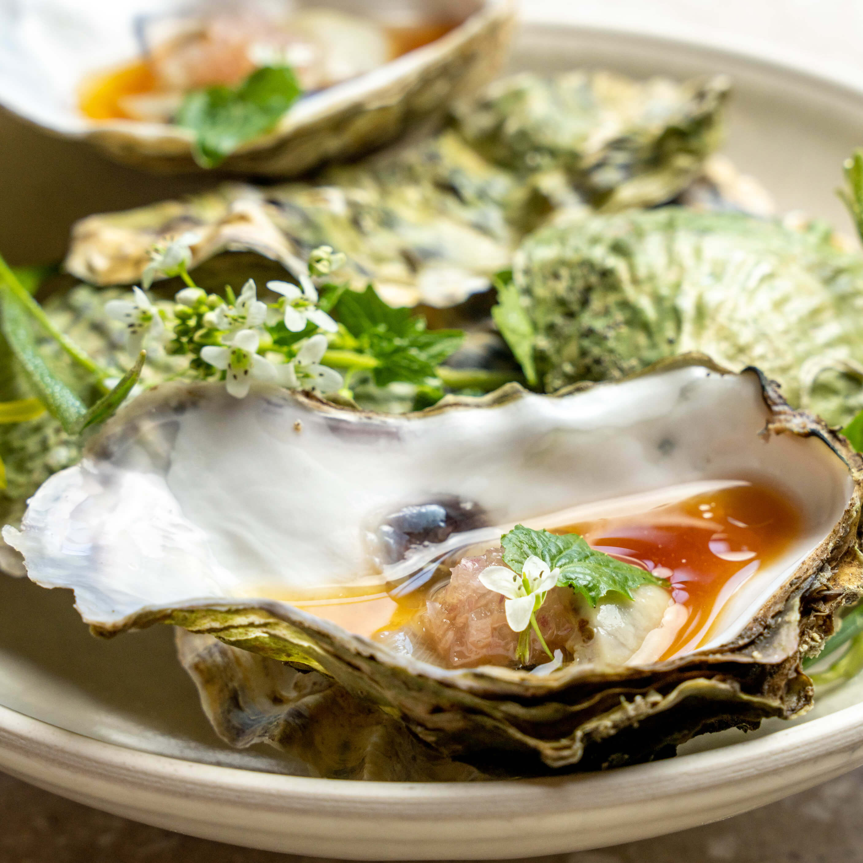 Oysters on a beautiful plate.