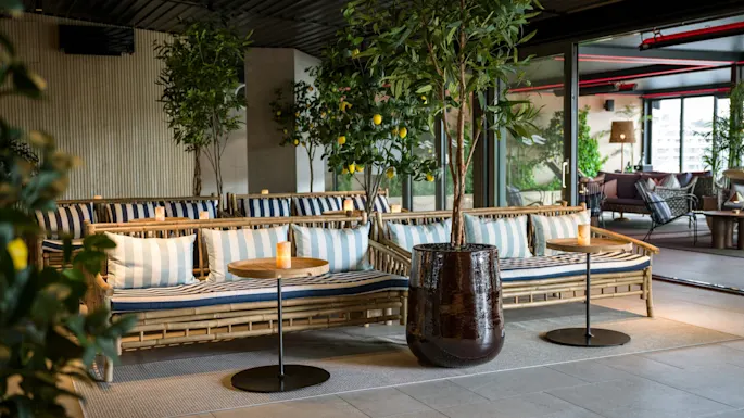 Rattan sofas with blue-and-white striped cushions sit in a modern lounge, surrounded by potted lemon trees. Small round wooden tables hold candles, creating a cozy atmosphere.