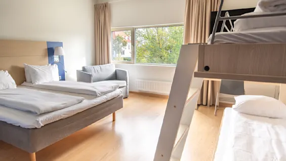 Hotel room with a double bed, bunk bed, and armchair. Sunlight enters through a large window, illuminating wood floors and white bedding. Beige curtains frame the window view of trees.