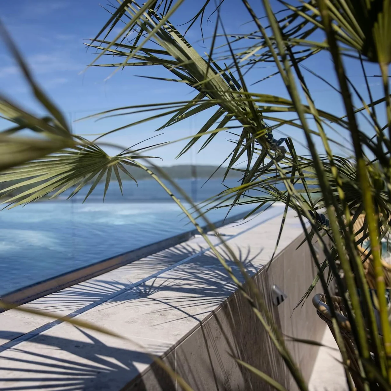 A palm frond overlaps a view of an outdoor swimming pool, casting shadows on the concrete edge. The pool reflects the clear blue sky and distant hills.