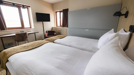 Twin beds with white linens are neatly arranged. A soft sofa and a desk with a chair are nearby. Two windows allow natural light, while a television hangs on the wall.