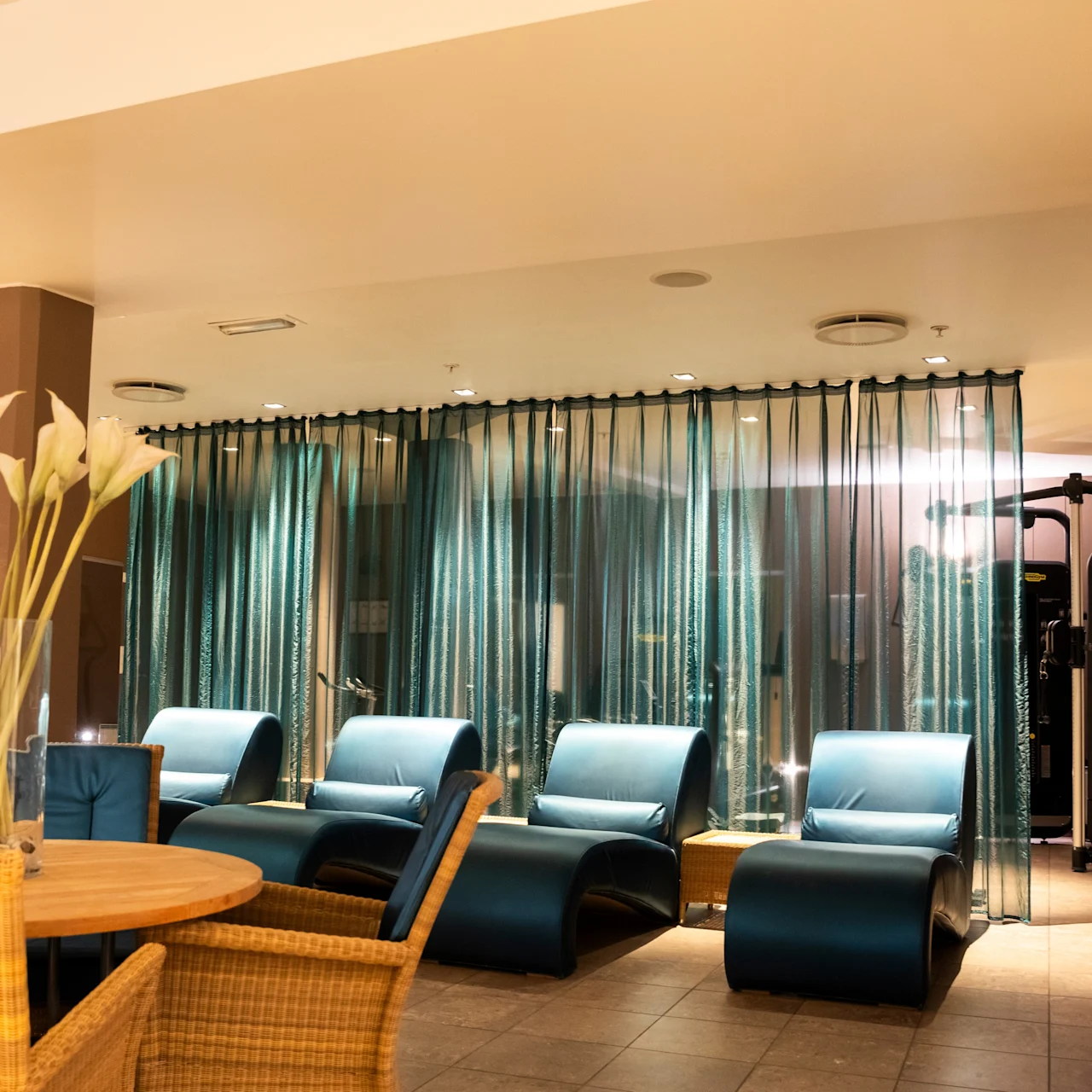 Blue lounge chairs are arranged neatly, aligned in a spa with soft lighting. A sheer curtain divides the space, surrounded by wicker furniture and decorative plants.