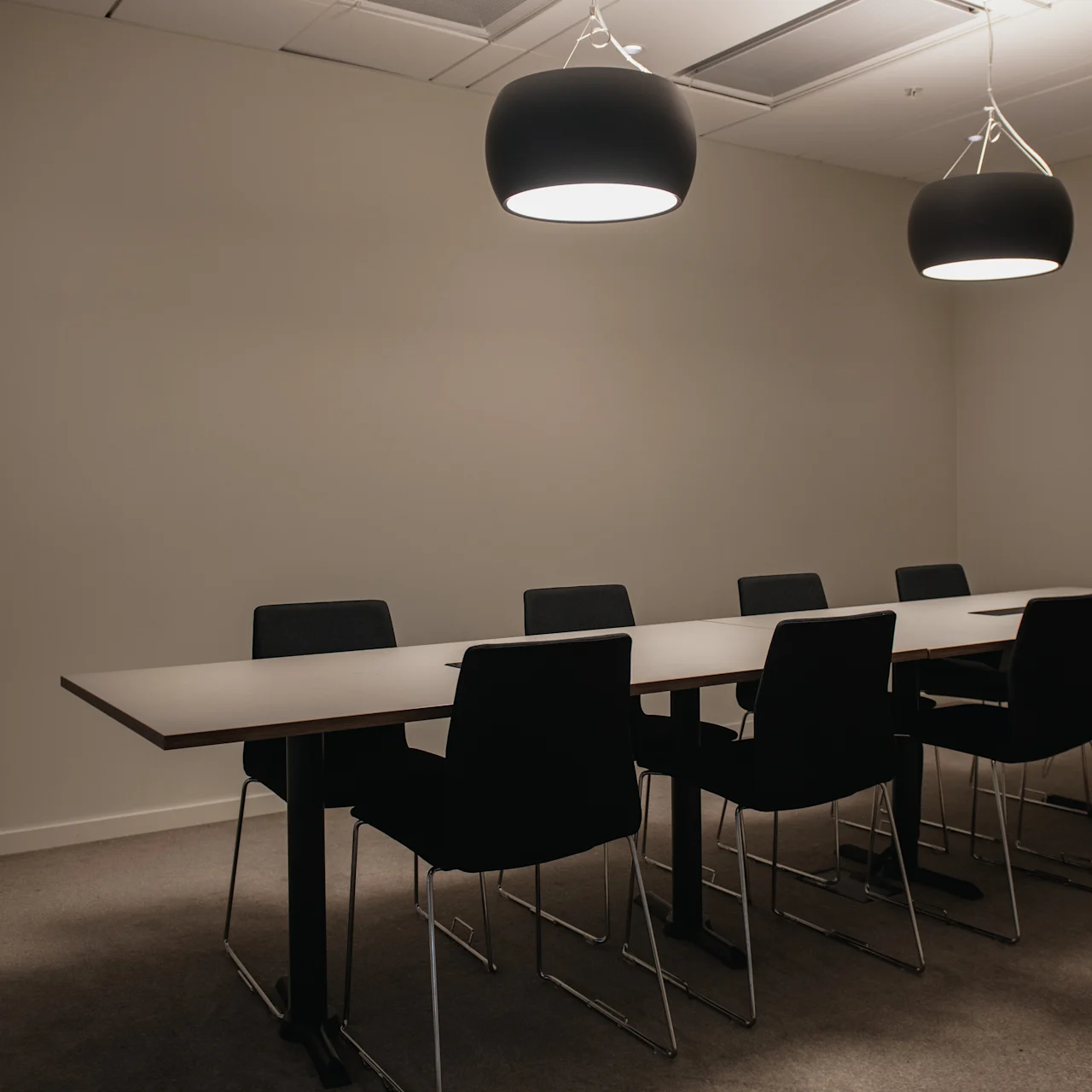 Table with eight chairs in a conference room; two ceiling lamps illuminate the area. A coat rack is on the left, and a wall-mounted TV is visible on the right.
