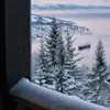 Snødekte grantrær med utsikt over en rolig fjord med et skip i Narvik, Norge.