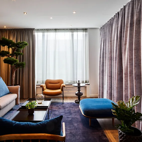 A cozy living room with a beige sofa adorned with colorful cushions, beside a tall, leafy plant. In the background, sheer curtains filter light from a large window.