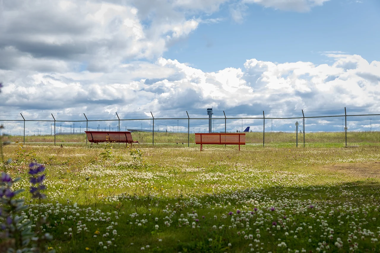 Två röda bänkar står orörliga på en gräsbevuxen äng. Området är inhägnat med taggtråd, med ett flygledartorn och ett flygplan synliga i fjärran under en molnig himmel.