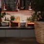 A warm kitchen counter with various cooking pots, green plants, and chalkboards displaying text like MATSVINNET and COSINESS.