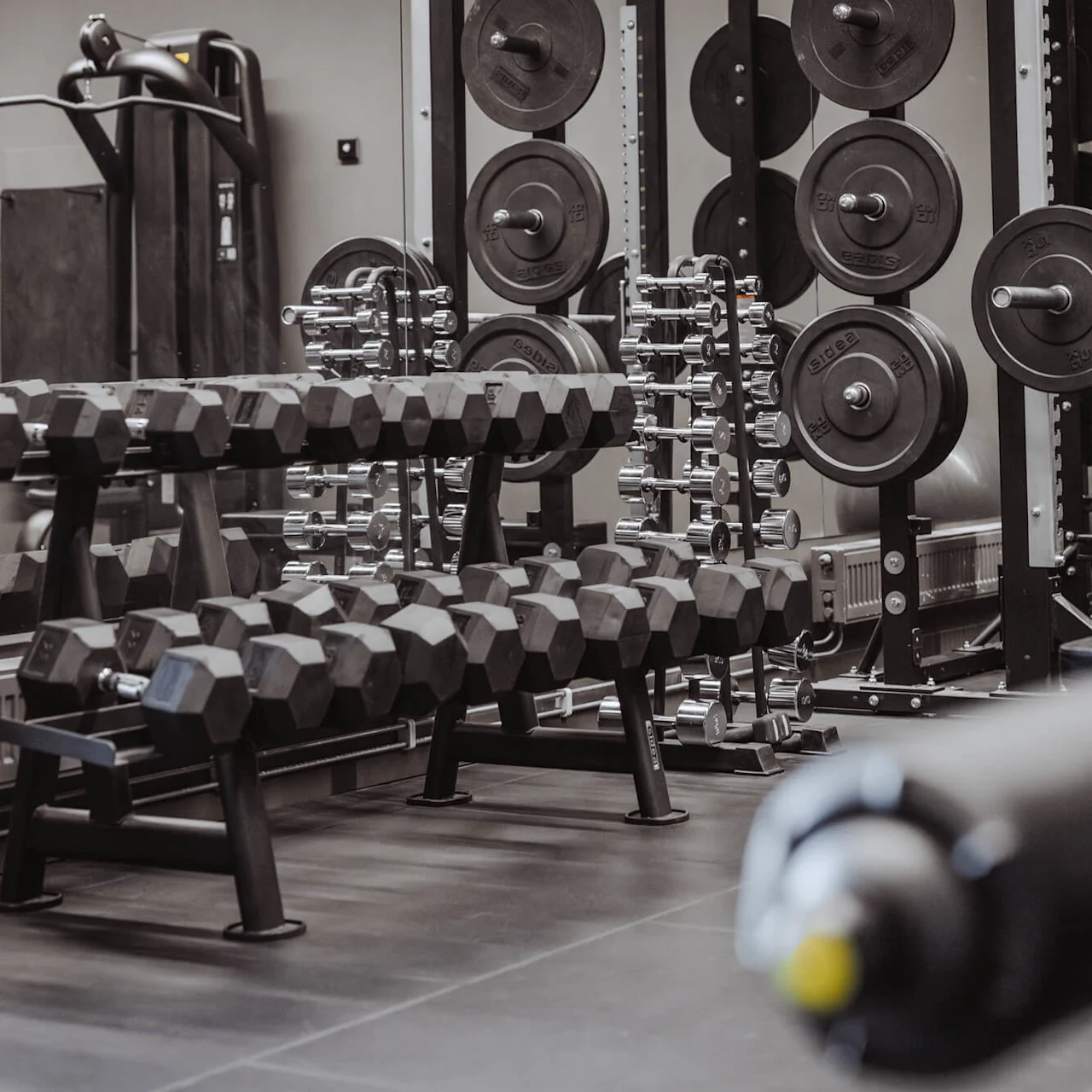 Ett gym med olika vikter organiserade på ställningar, inklusive hantlar och skivstänger, i ett spegelbeklätt rum med träningsutrustning.