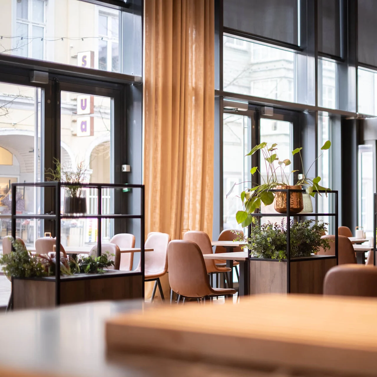 Modern restaurant with potted plants on dividing shelves, surrounded by wooden tables and brown chairs. Large windows with sheer curtains provide natural light.