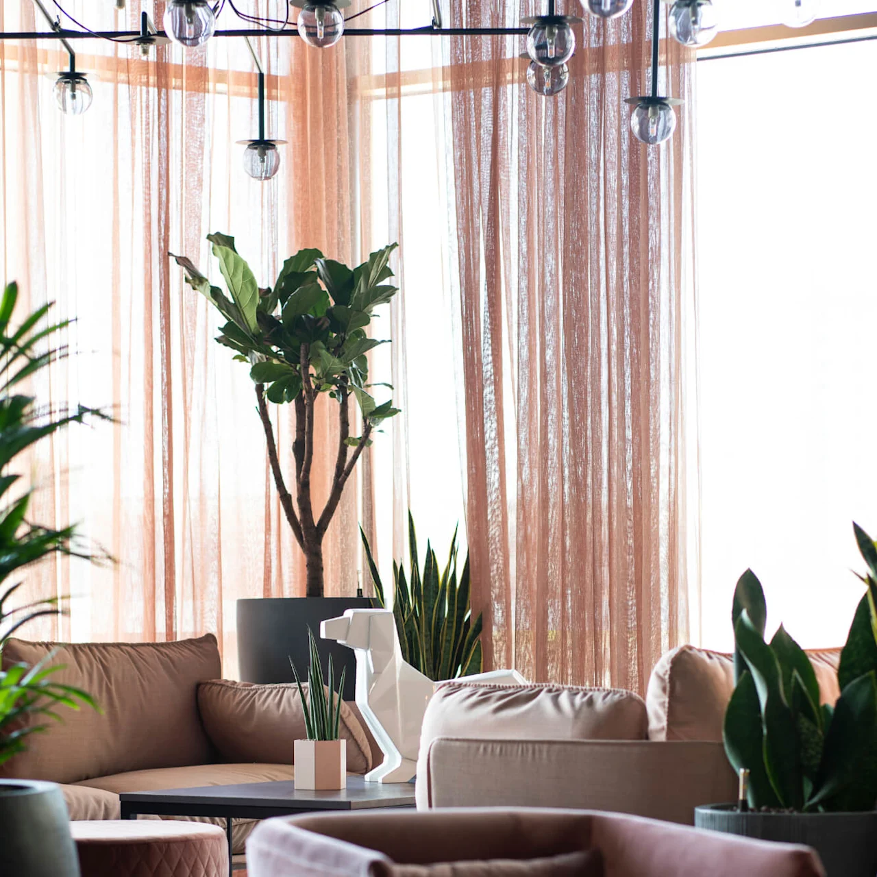 Plush armchairs and sofas surround a coffee table adorned with a geometric ornament and small plant in a sunlit room with sheer pink curtains and hanging light bulbs.